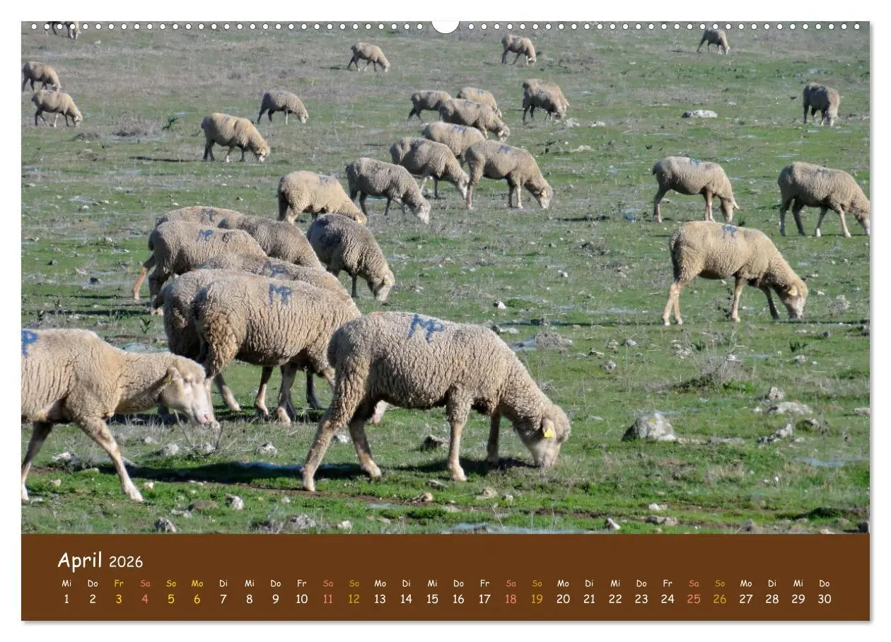Bild: 9783457439371 | Extremadura Spanien (hochwertiger Premium Wandkalender 2026 DIN A2...