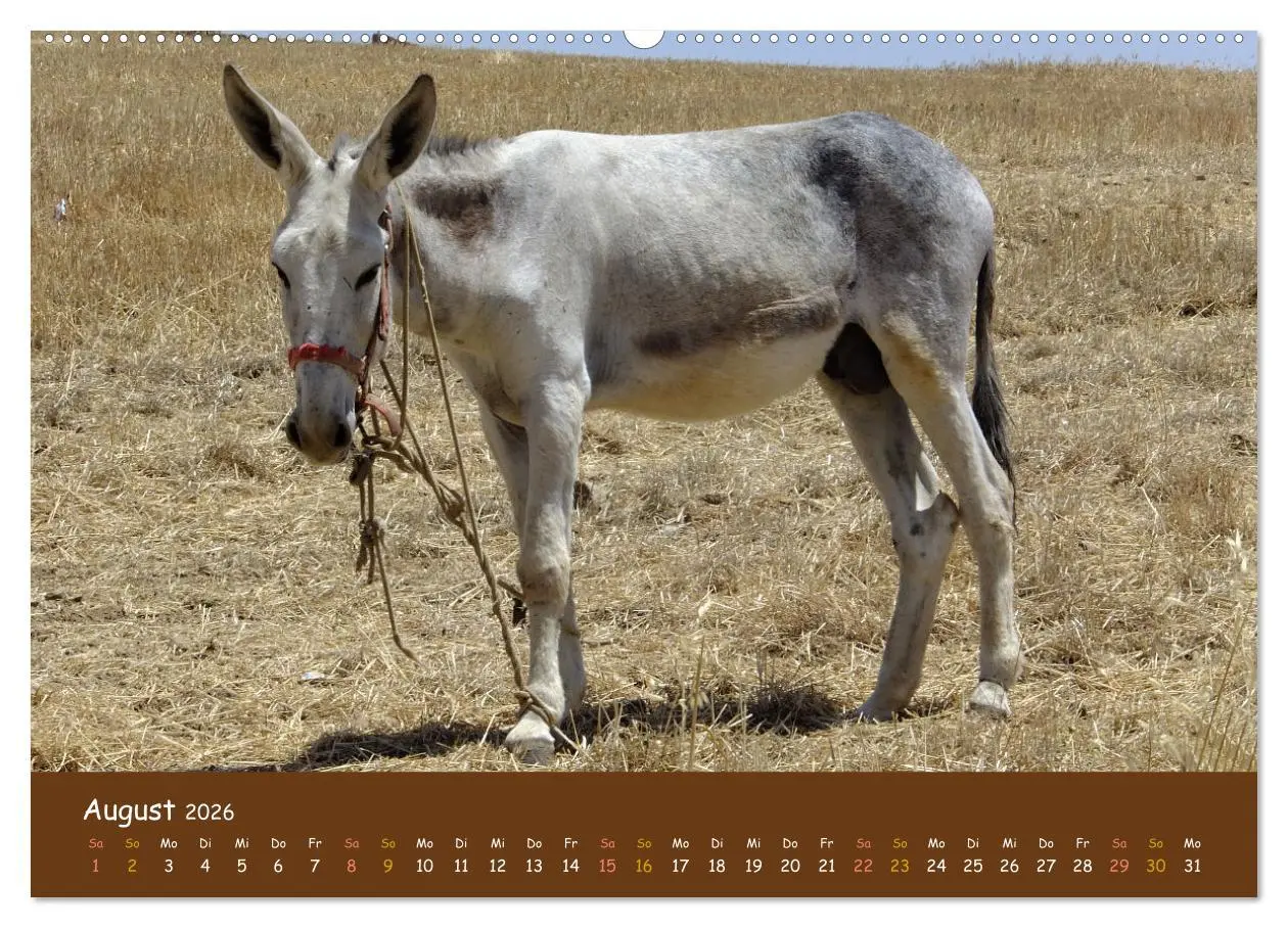 Bild: 9783457439371 | Extremadura Spanien (hochwertiger Premium Wandkalender 2026 DIN A2...