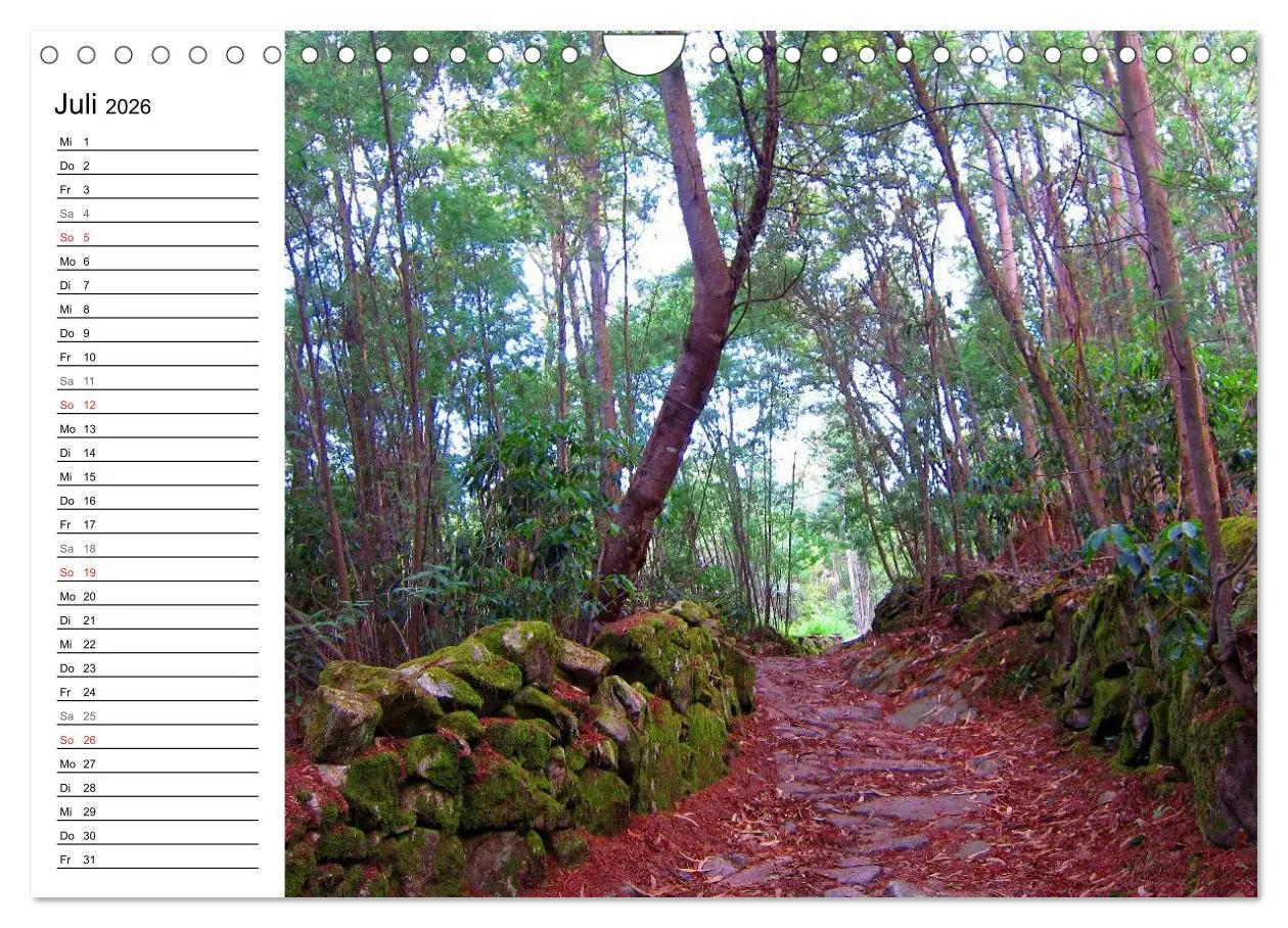 Bild: 9783457989371 | Jakobsweg - Camino Portugues (Wandkalender 2026 DIN A4 quer),...