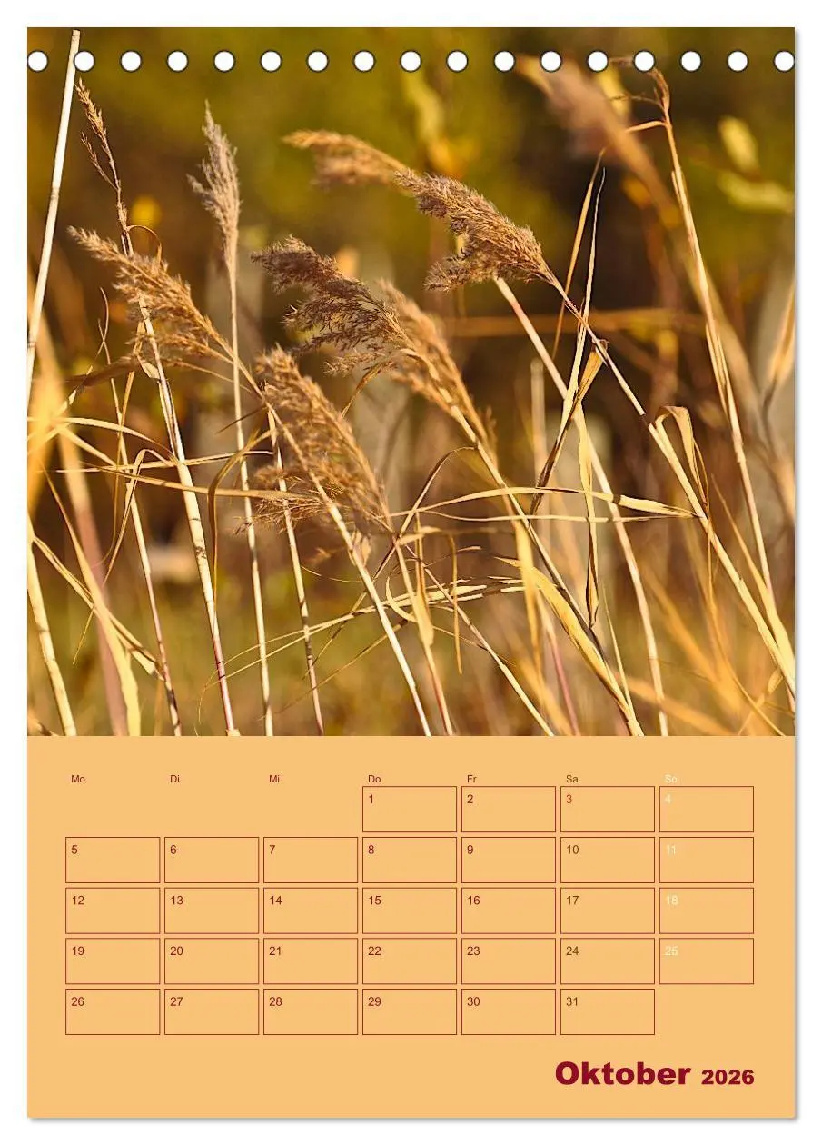 Bild: 9783516459371 | Wald- und Wiesenkalender 2026 Planer (Tischkalender 2026 DIN A5...