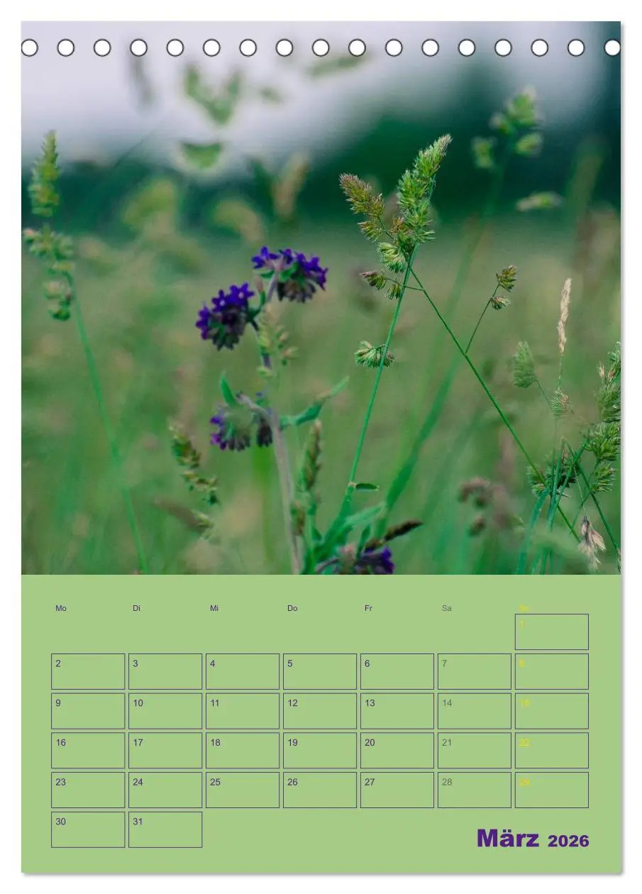 Bild: 9783516459371 | Wald- und Wiesenkalender 2026 Planer (Tischkalender 2026 DIN A5...