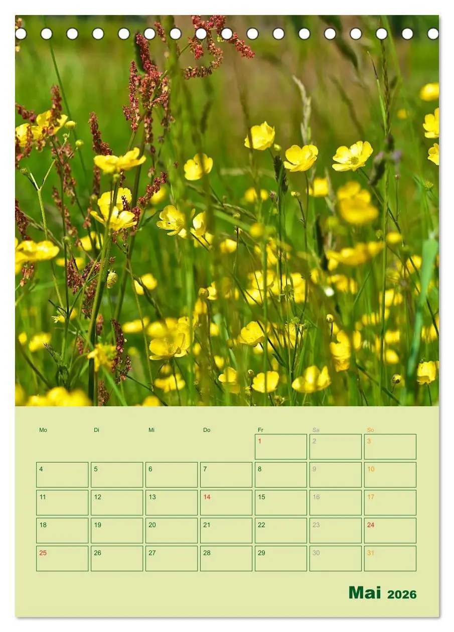 Bild: 9783516459371 | Wald- und Wiesenkalender 2026 Planer (Tischkalender 2026 DIN A5...