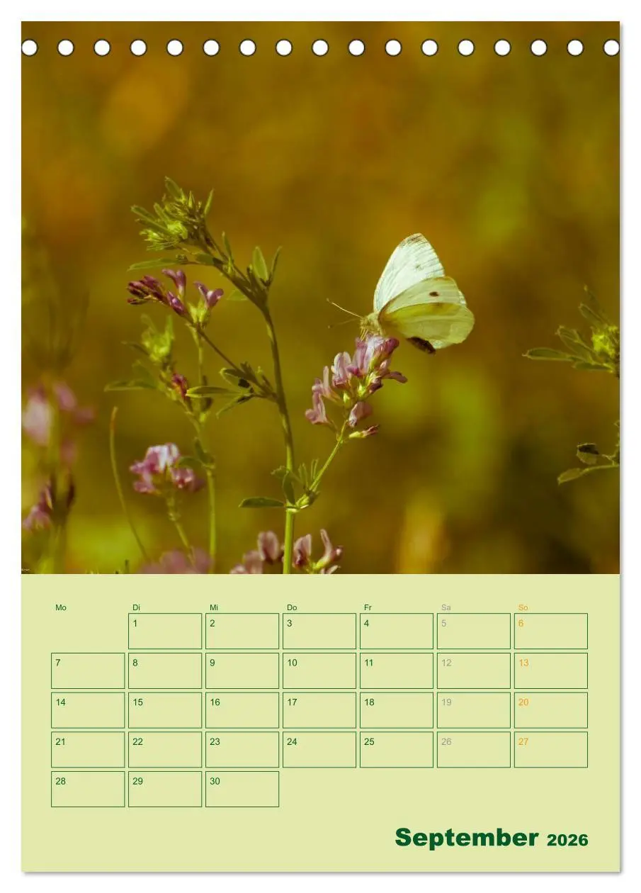 Bild: 9783516459371 | Wald- und Wiesenkalender 2026 Planer (Tischkalender 2026 DIN A5...