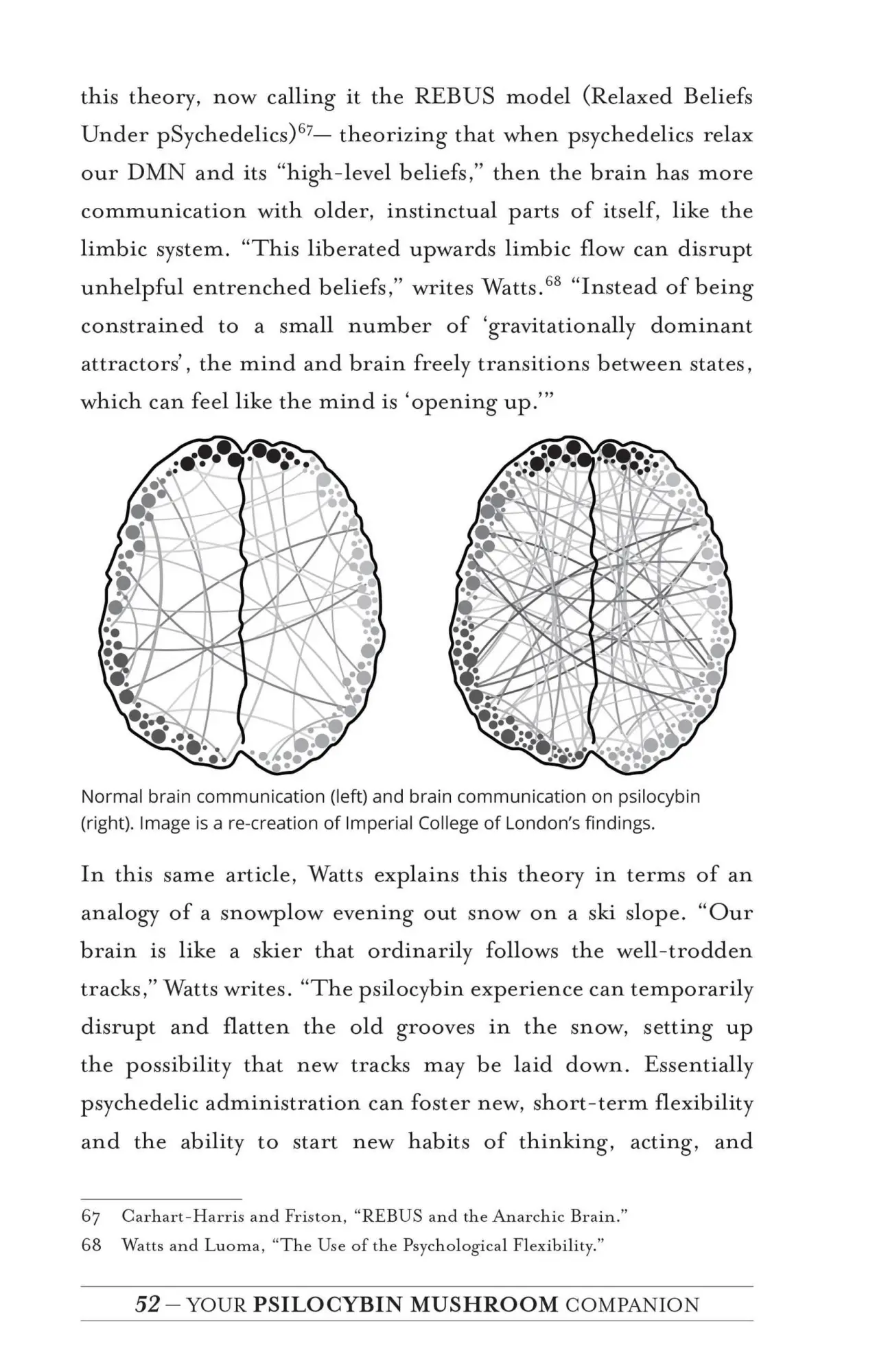 Bild: 9781612439471 | Your Psilocybin Mushroom Companion | Michelle Janikian | Taschenbuch