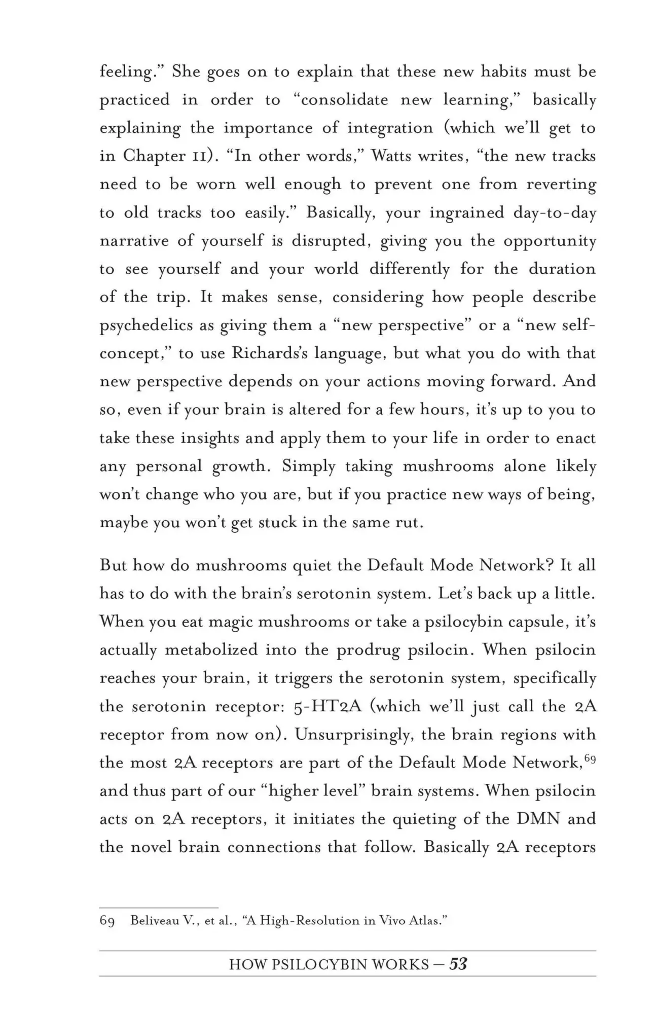Bild: 9781612439471 | Your Psilocybin Mushroom Companion | Michelle Janikian | Taschenbuch