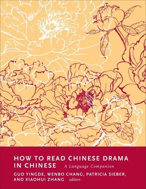 Cover: 9780231209571 | How to Read Chinese Drama in Chinese | A Language Companion | Buch