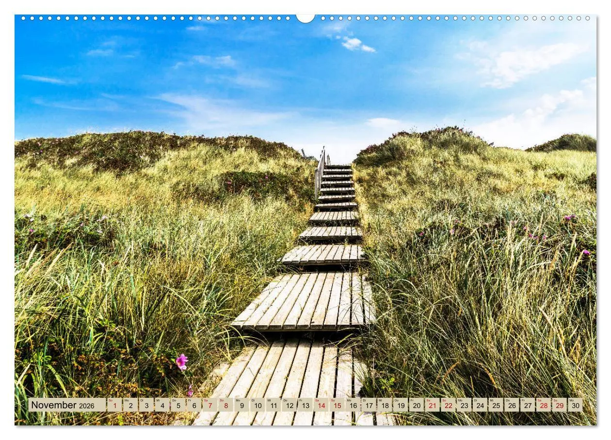 Bild: 9783457899571 | SYLT Dünenwege (Wandkalender 2026 DIN A2 quer), CALVENDO...