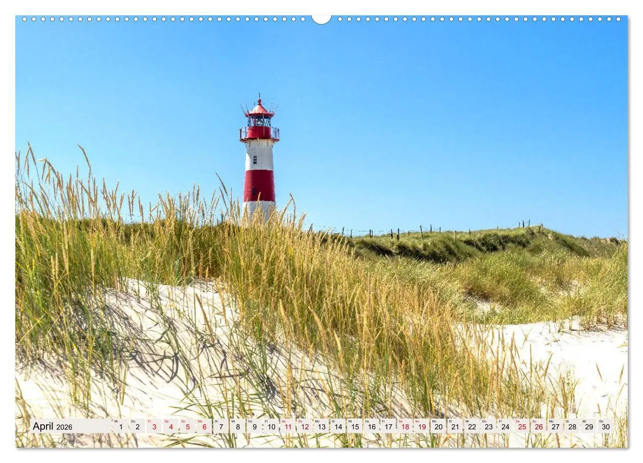 Bild: 9783457899571 | SYLT Dünenwege (Wandkalender 2026 DIN A2 quer), CALVENDO...