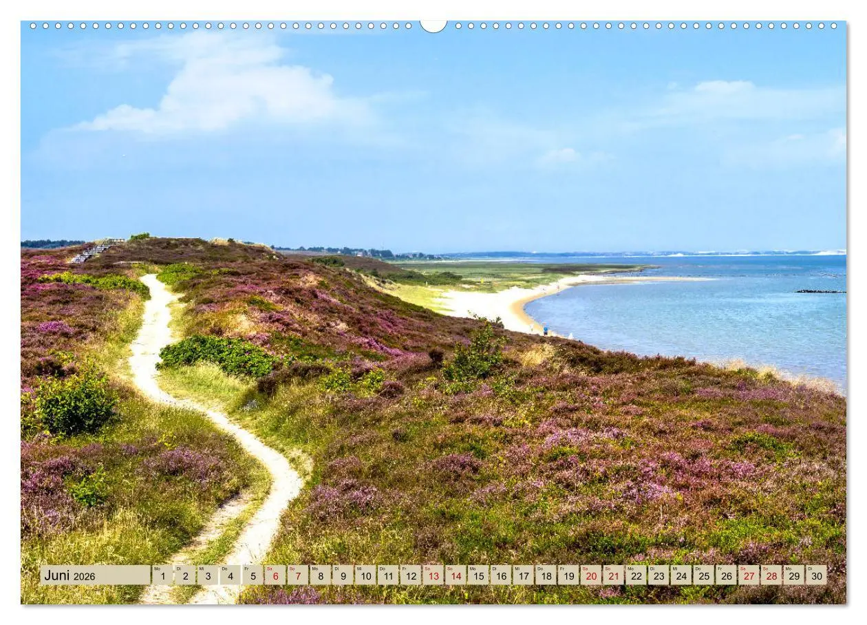 Bild: 9783457899571 | SYLT Dünenwege (Wandkalender 2026 DIN A2 quer), CALVENDO...