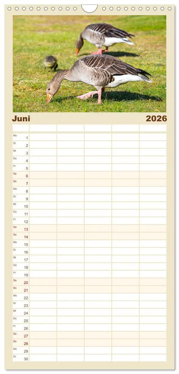 Bild: 9783516509571 | Familienplaner 2026 - Geliebte Tiere auf dem Bauernhof mit 5...