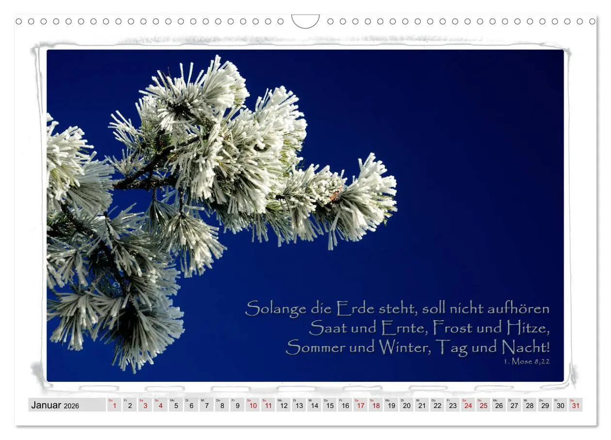 Bild: 9783457889671 | Biblische Sprüche und Verse (Wandkalender 2026 DIN A3 quer),...