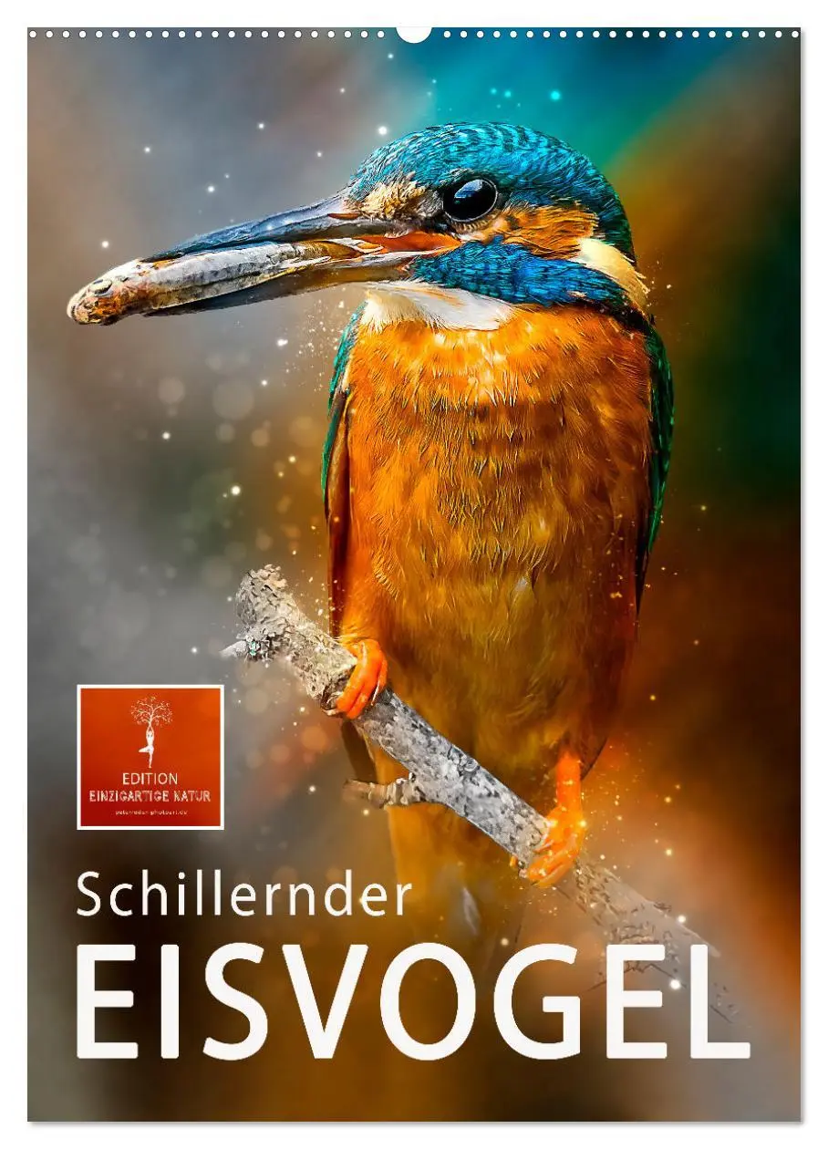 Cover: 9783516359671 | Schillernder Eisvogel (Wandkalender 2026 DIN A2 hoch), CALVENDO...