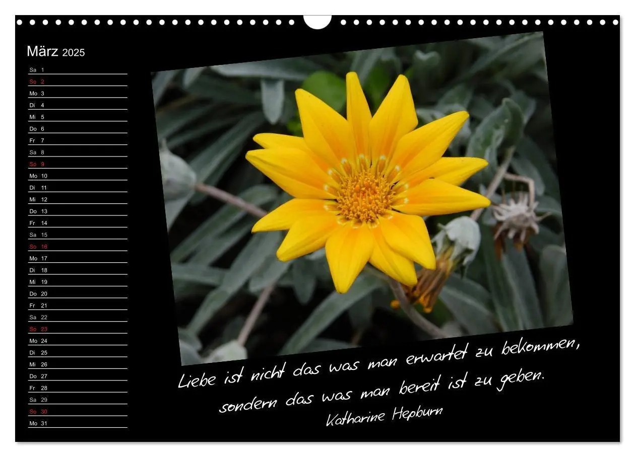 Bild: 9783435789771 | Gelbe Lebensfreude (Wandkalender 2025 DIN A3 quer), CALVENDO...