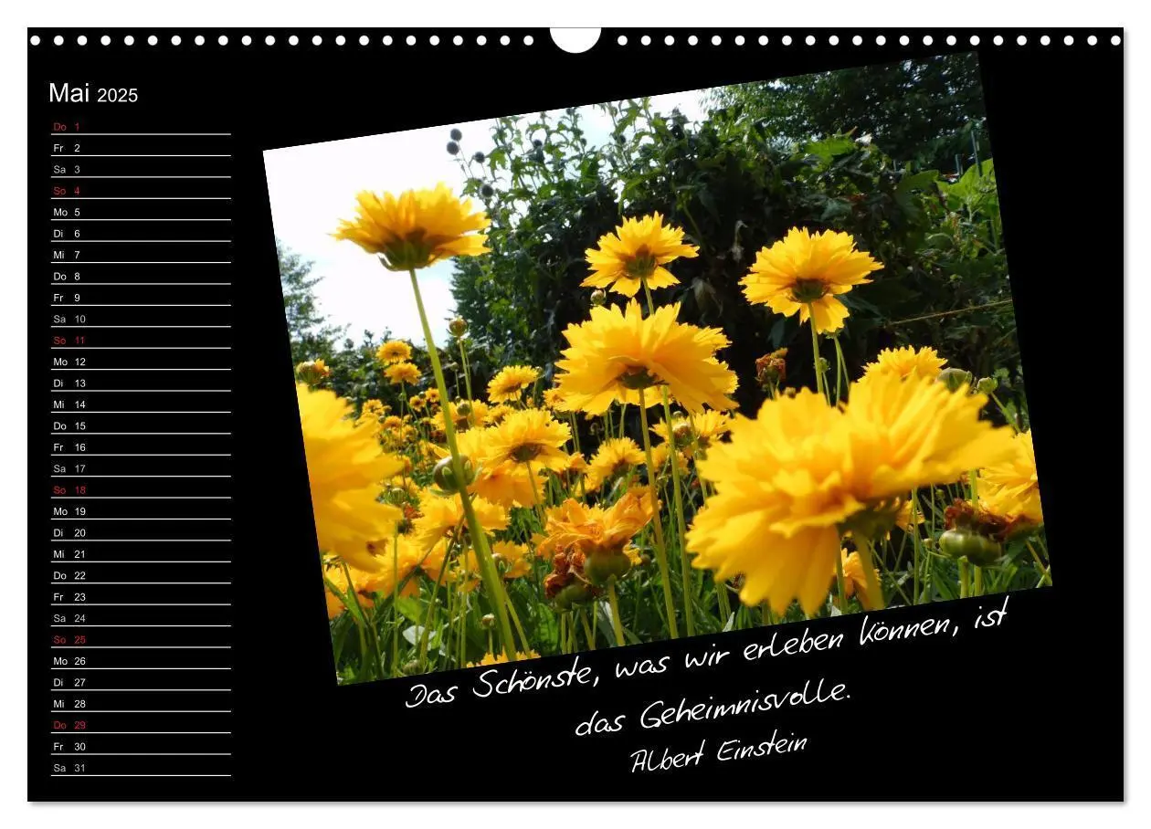 Bild: 9783435789771 | Gelbe Lebensfreude (Wandkalender 2025 DIN A3 quer), CALVENDO...