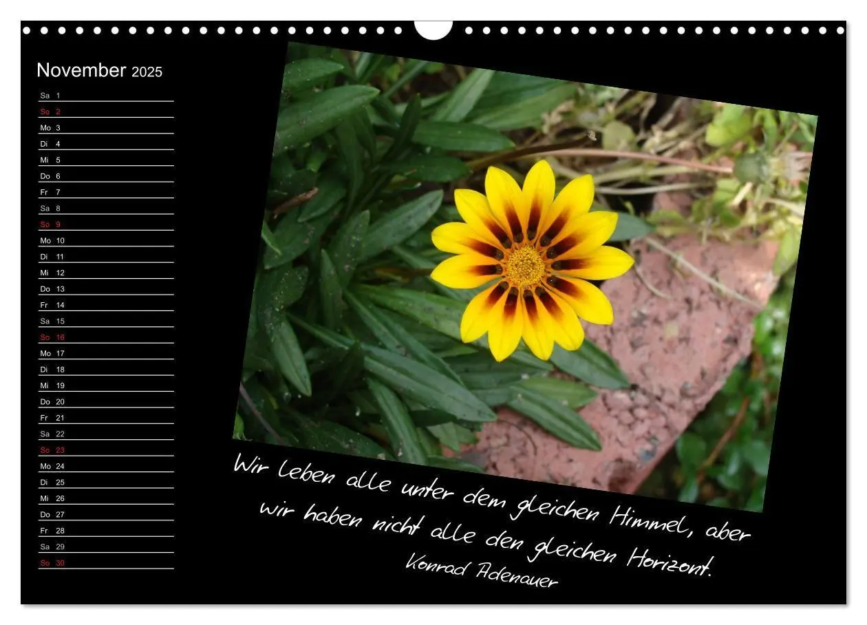 Bild: 9783435789771 | Gelbe Lebensfreude (Wandkalender 2025 DIN A3 quer), CALVENDO...