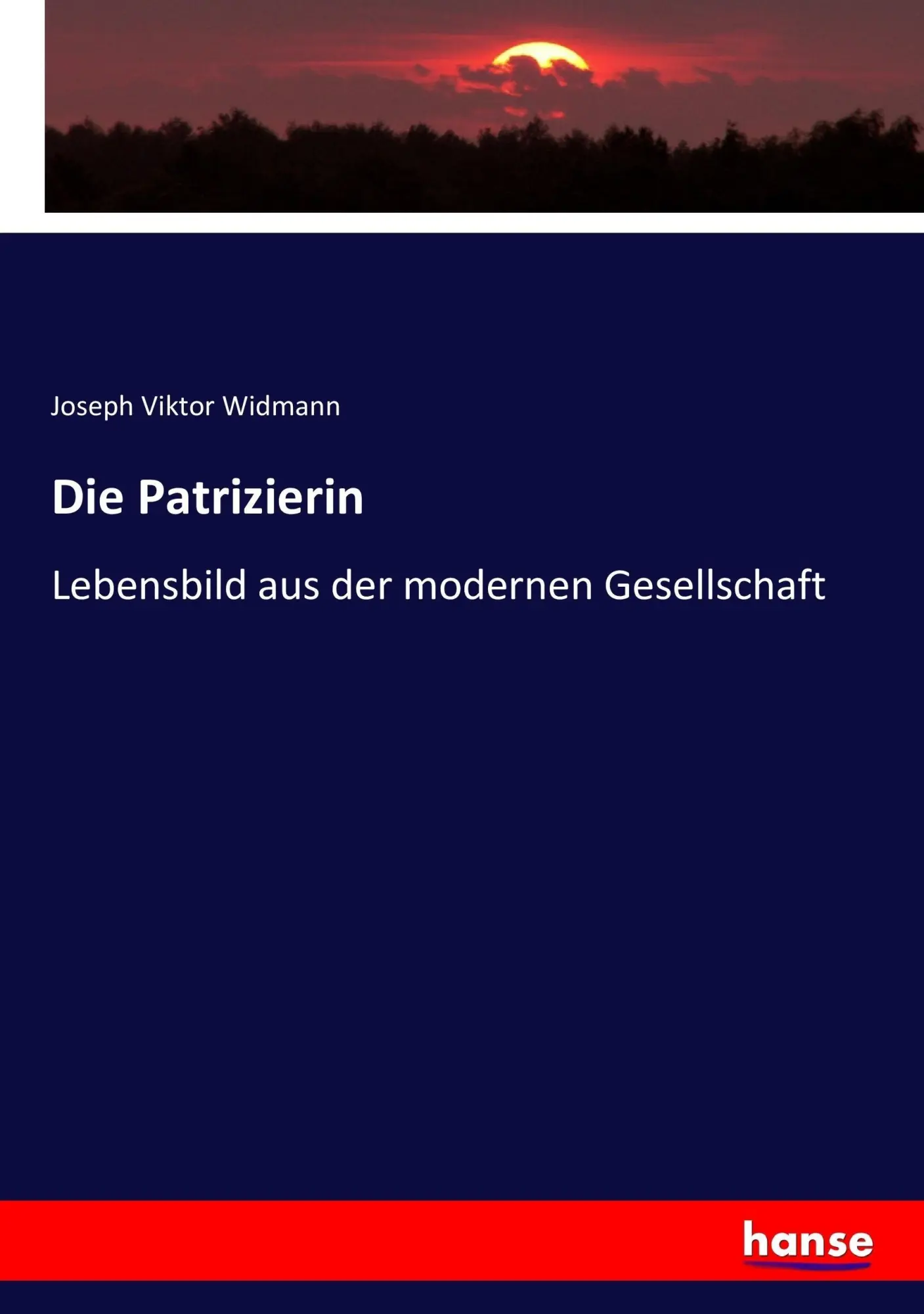 Cover: 9783743439771 | Die Patrizierin | Lebensbild aus der modernen Gesellschaft | Widmann