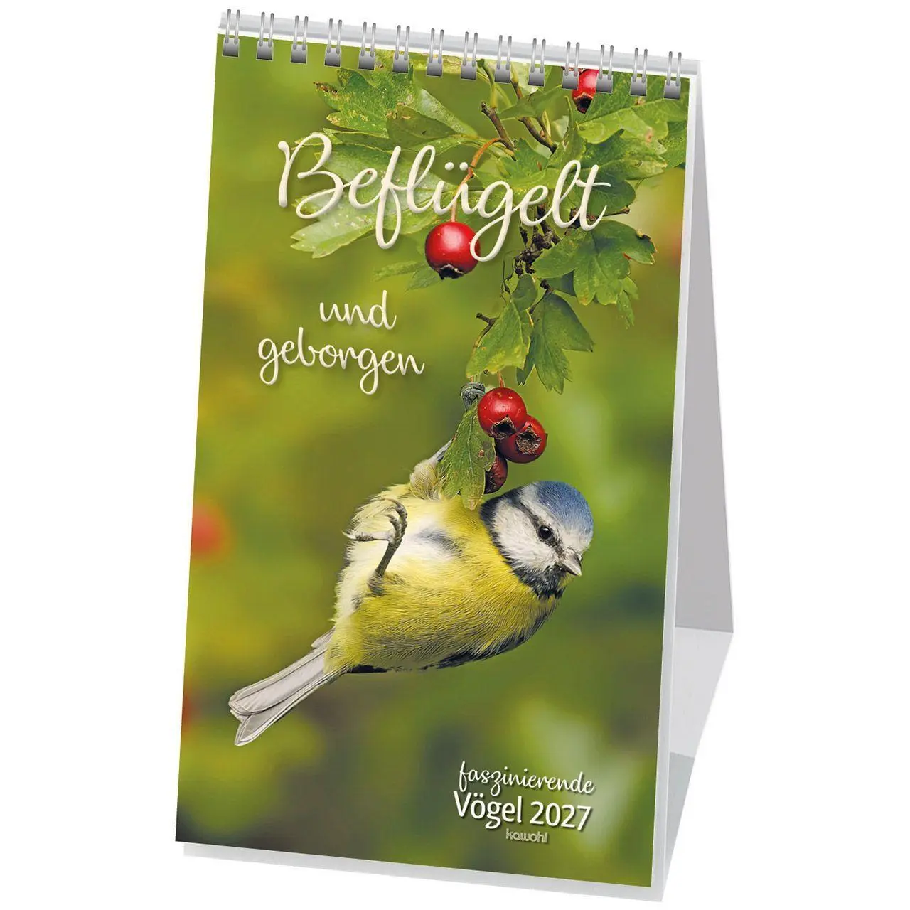 Cover: 9783754879771 | Beflügelt und geborgen 2027 | Faszinierende Vögel | Kalender | 14 S.
