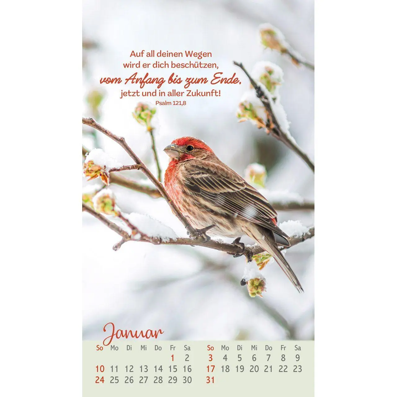 Bild: 9783754879771 | Beflügelt und geborgen 2027 | Faszinierende Vögel | Kalender | 14 S.