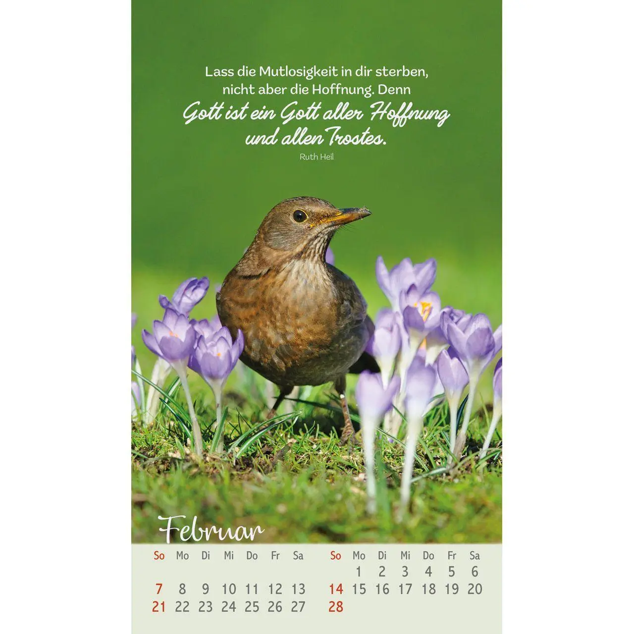Bild: 9783754879771 | Beflügelt und geborgen 2027 | Faszinierende Vögel | Kalender | 14 S.