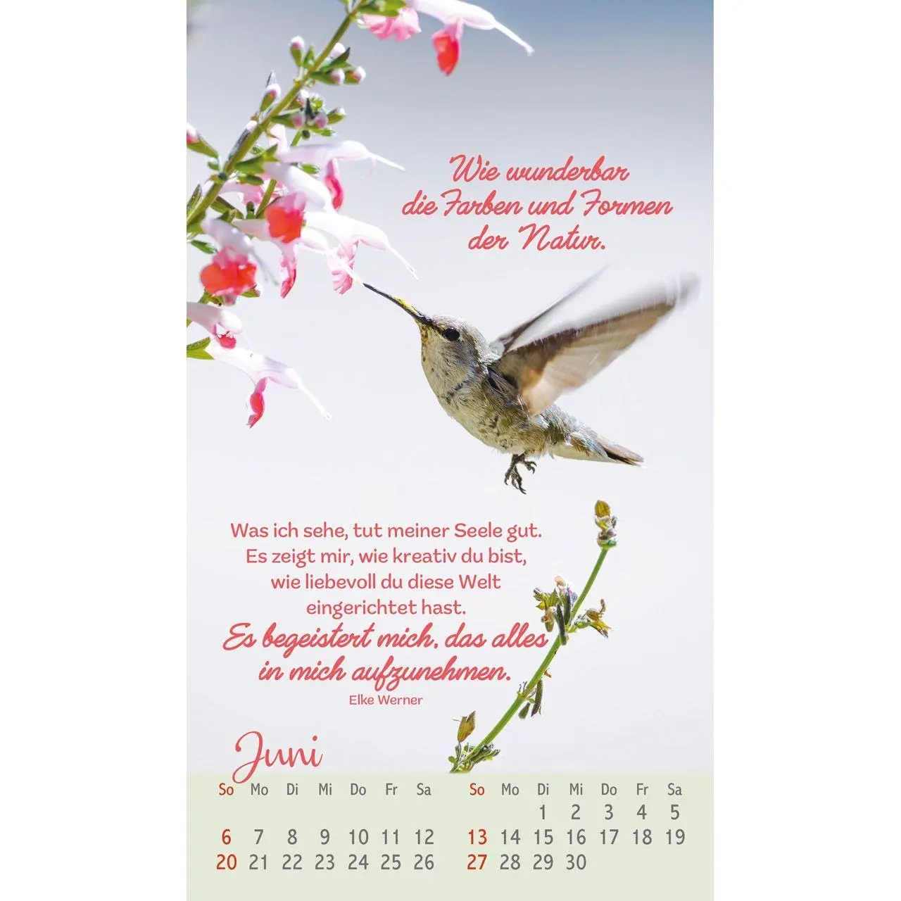 Bild: 9783754879771 | Beflügelt und geborgen 2027 | Faszinierende Vögel | Kalender | 14 S.