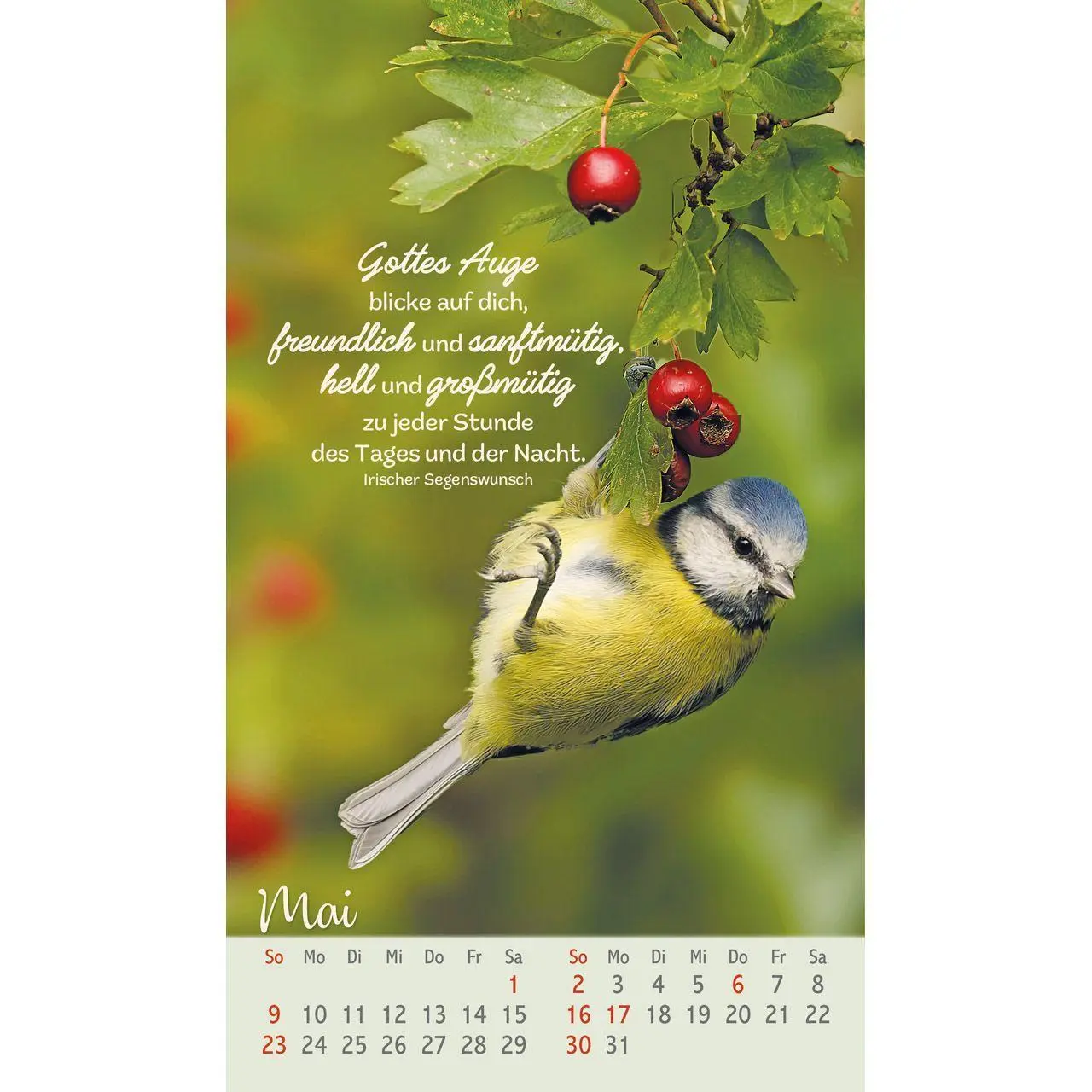Bild: 9783754879771 | Beflügelt und geborgen 2027 | Faszinierende Vögel | Kalender | 14 S.