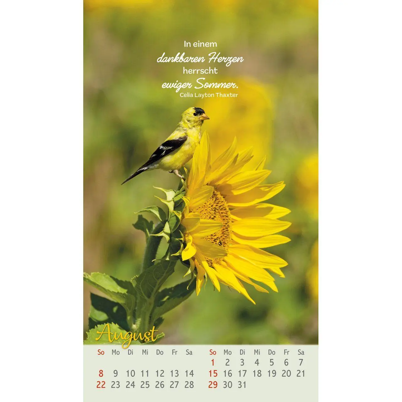 Bild: 9783754879771 | Beflügelt und geborgen 2027 | Faszinierende Vögel | Kalender | 14 S.
