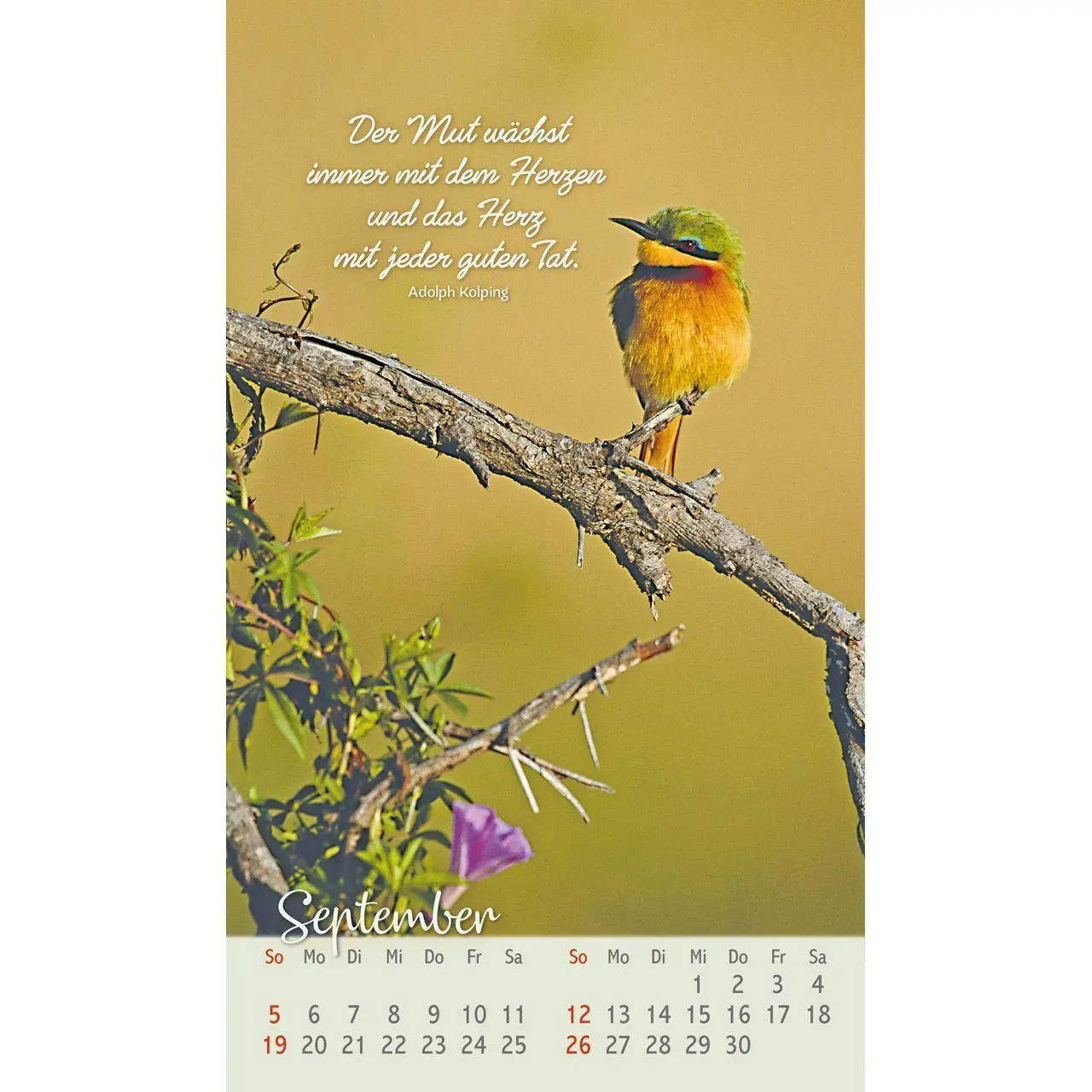 Bild: 9783754879771 | Beflügelt und geborgen 2027 | Faszinierende Vögel | Kalender | 14 S.