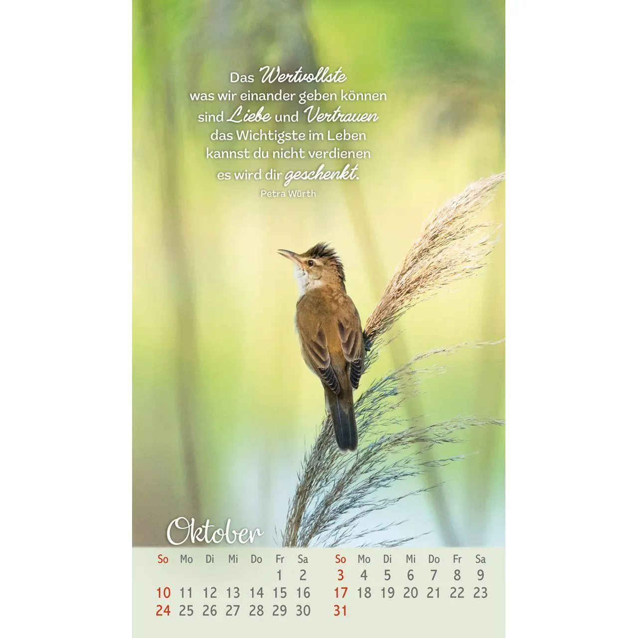 Bild: 9783754879771 | Beflügelt und geborgen 2027 | Faszinierende Vögel | Kalender | 14 S.