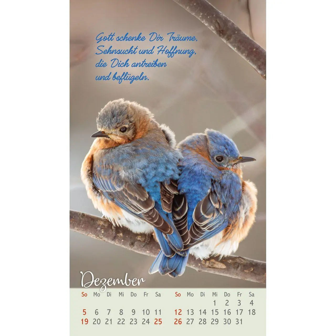 Bild: 9783754879771 | Beflügelt und geborgen 2027 | Faszinierende Vögel | Kalender | 14 S.