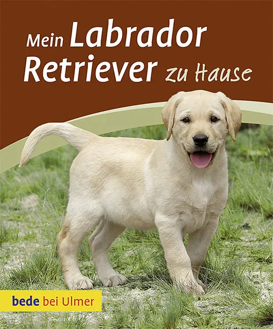 Cover: 9783800169771 | Mein Labrador Retriever zu Hause | Maike Harms | Taschenbuch | 64 S.
