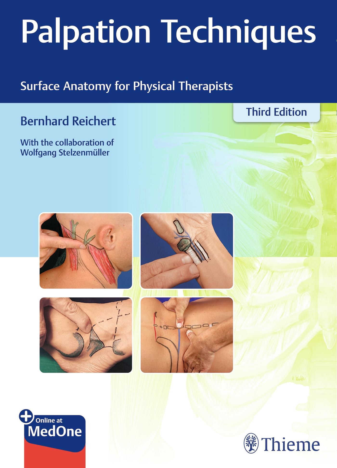 Cover: 9783132429871 | Palpation Techniques | Surface Anatomy for Physical Therapists | 2021