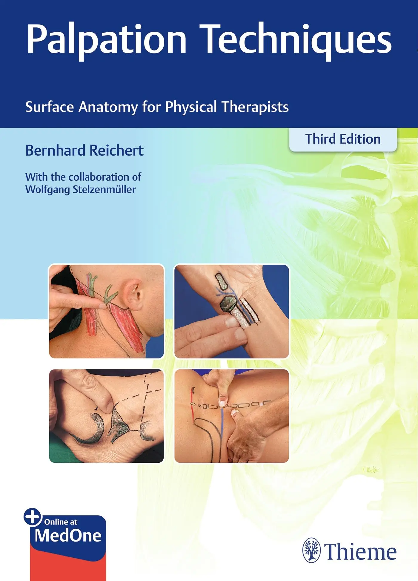 Cover: 9783132429871 | Palpation Techniques | Surface Anatomy for Physical Therapists | 2021