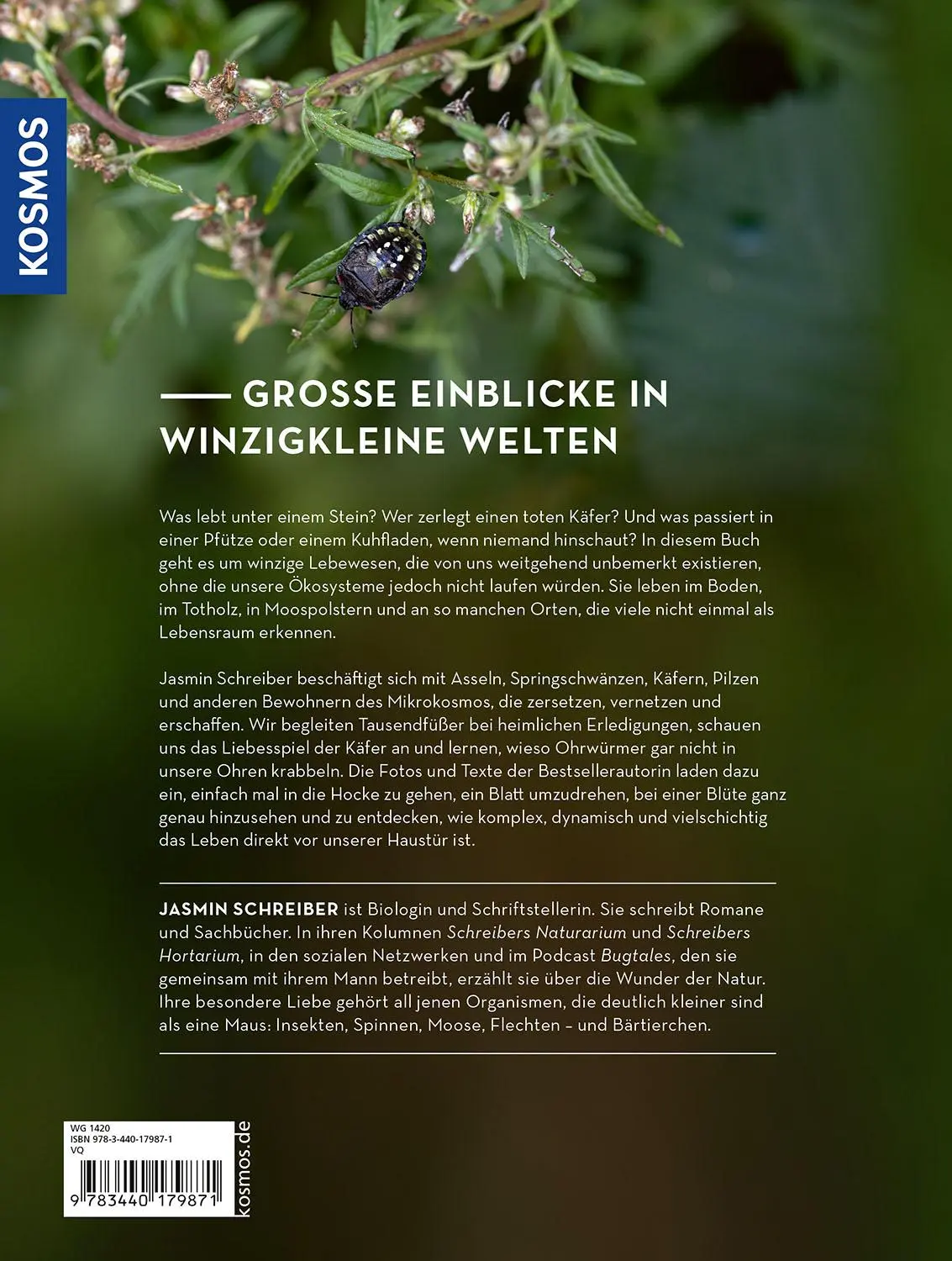 Bild: 9783440179871 | Im Schatten von Giganten | Jasmin Schreiber | Buch | 176 S. | Deutsch