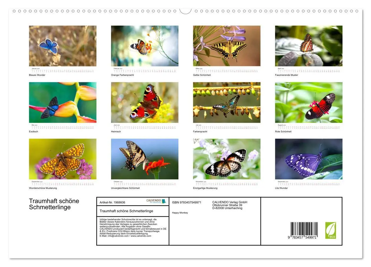 Bild: 9783457549971 | Traumhaft schöne Schmetterlinge (hochwertiger Premium Wandkalender...