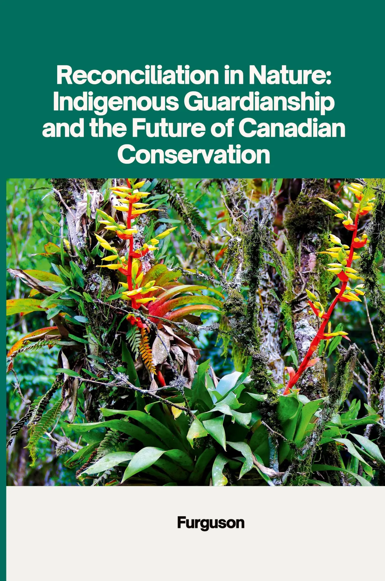 Reconciliation in Nature Indigenous Guardianship and the Future of Canadian Conservation - Furguson Kartoniert (TB)