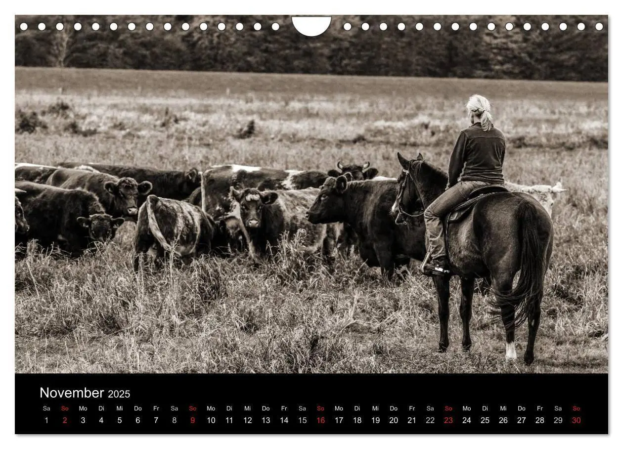 Bild: 9783435570072 | Westernreiten (Wandkalender 2025 DIN A4 quer), CALVENDO Monatskalender