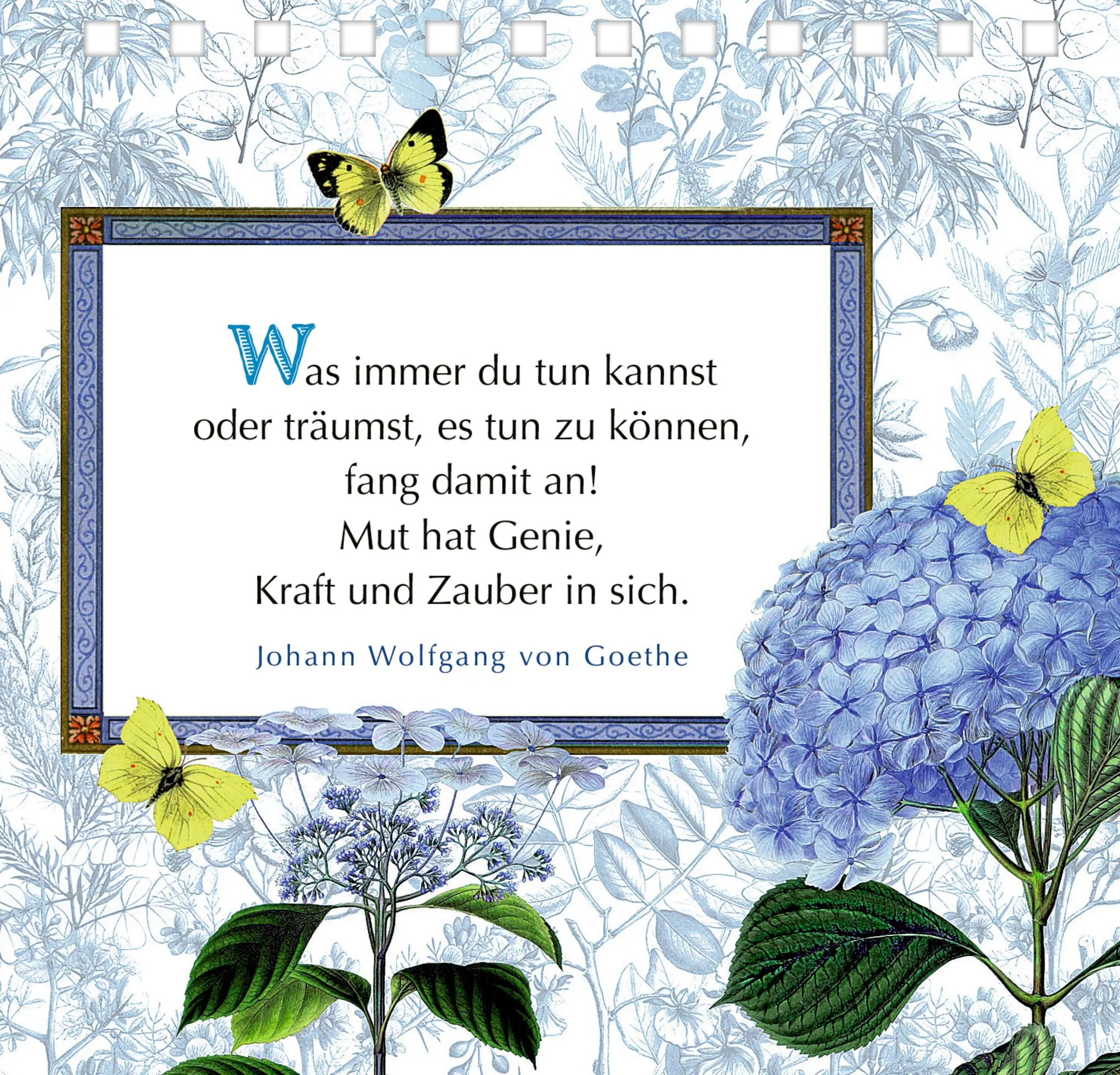 Bild: 9783649650072 | Viele gute Wünsche | Barbara Behr | Taschenbuch | 144 S. | Deutsch