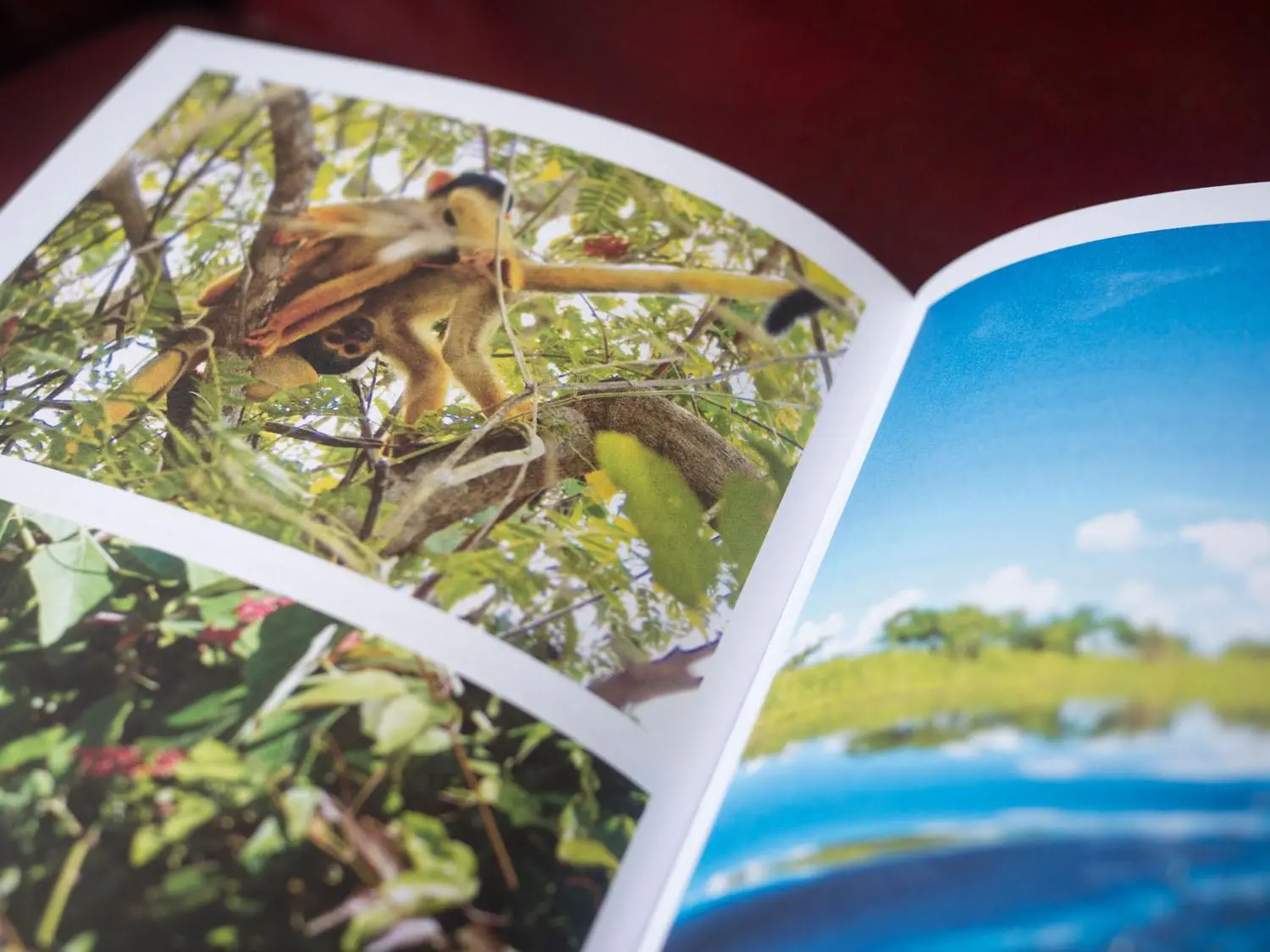 Bild: 9783963480072 | Reisedepeschen aus Bolivien und Peru | Jennifer McCann | Taschenbuch