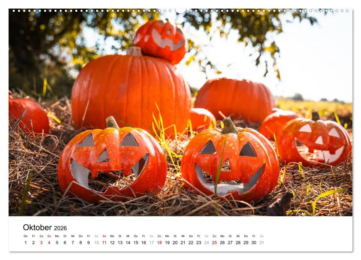Bild: 9783457340172 | KÜRBIS KALENDER - Die schönsten Kürbisse des Jahres (hochwertiger...