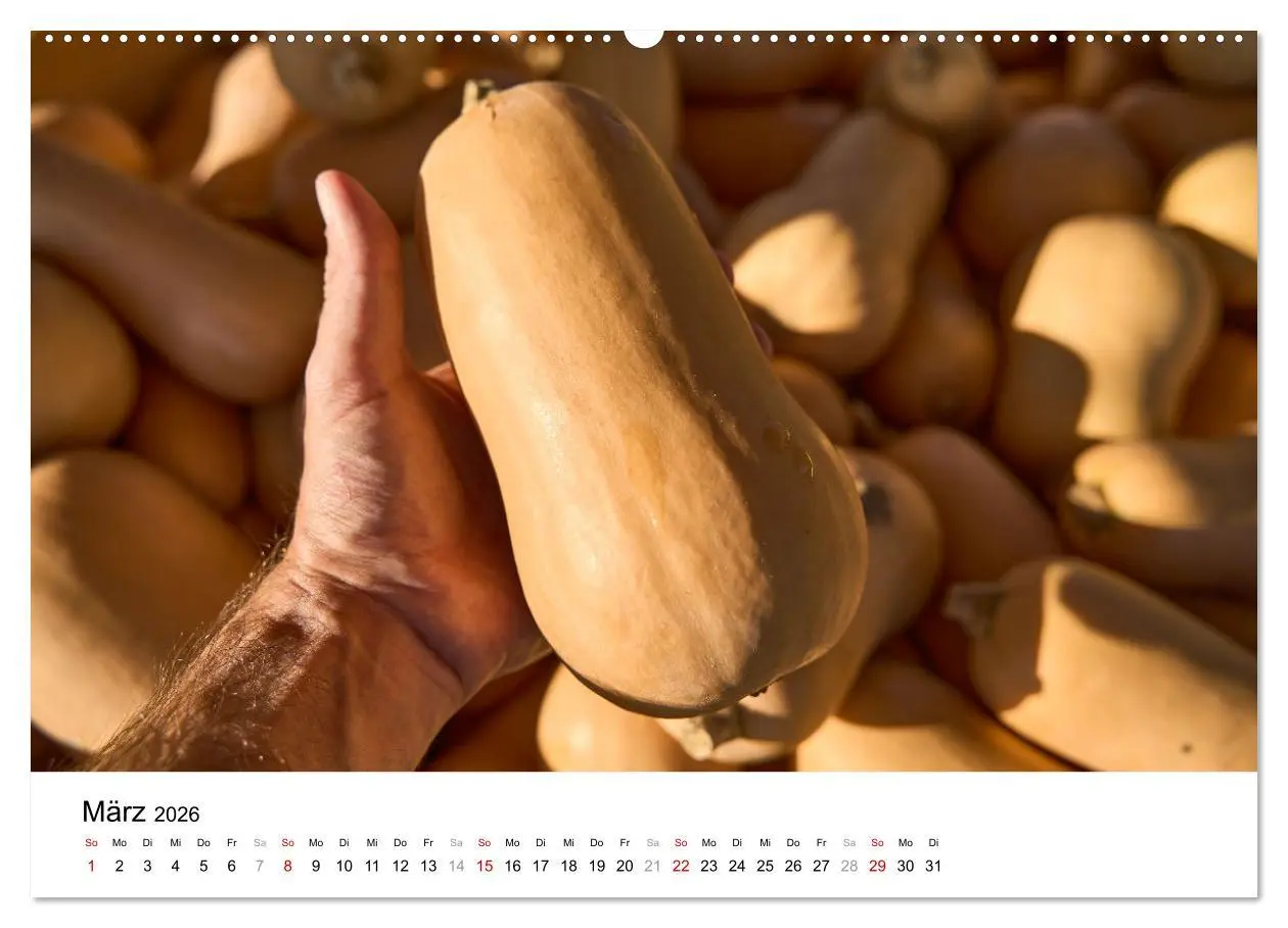 Bild: 9783457340172 | KÜRBIS KALENDER - Die schönsten Kürbisse des Jahres (hochwertiger...