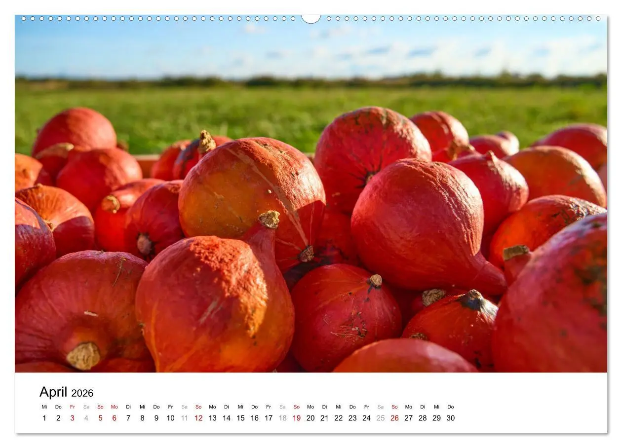 Bild: 9783457340172 | KÜRBIS KALENDER - Die schönsten Kürbisse des Jahres (hochwertiger...