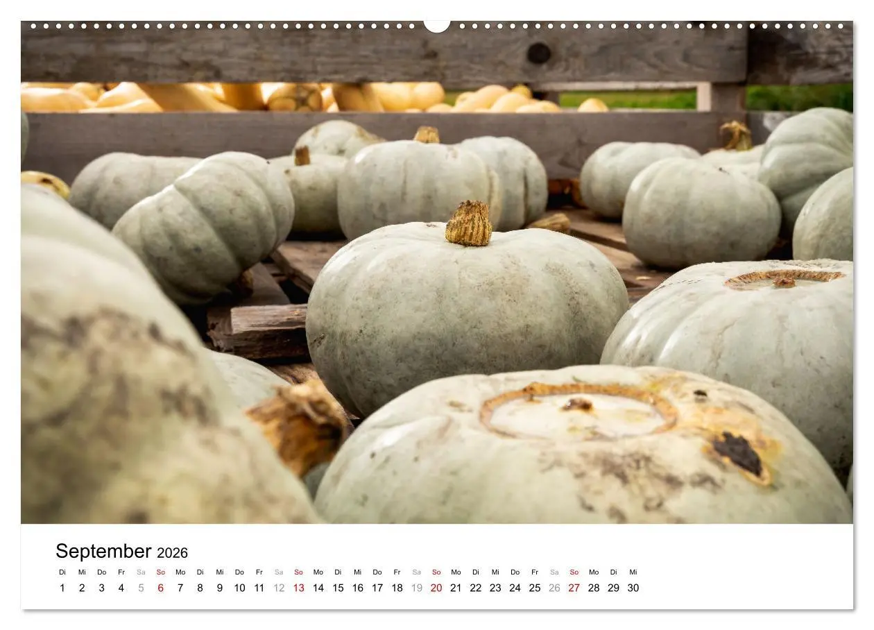 Bild: 9783457340172 | KÜRBIS KALENDER - Die schönsten Kürbisse des Jahres (hochwertiger...