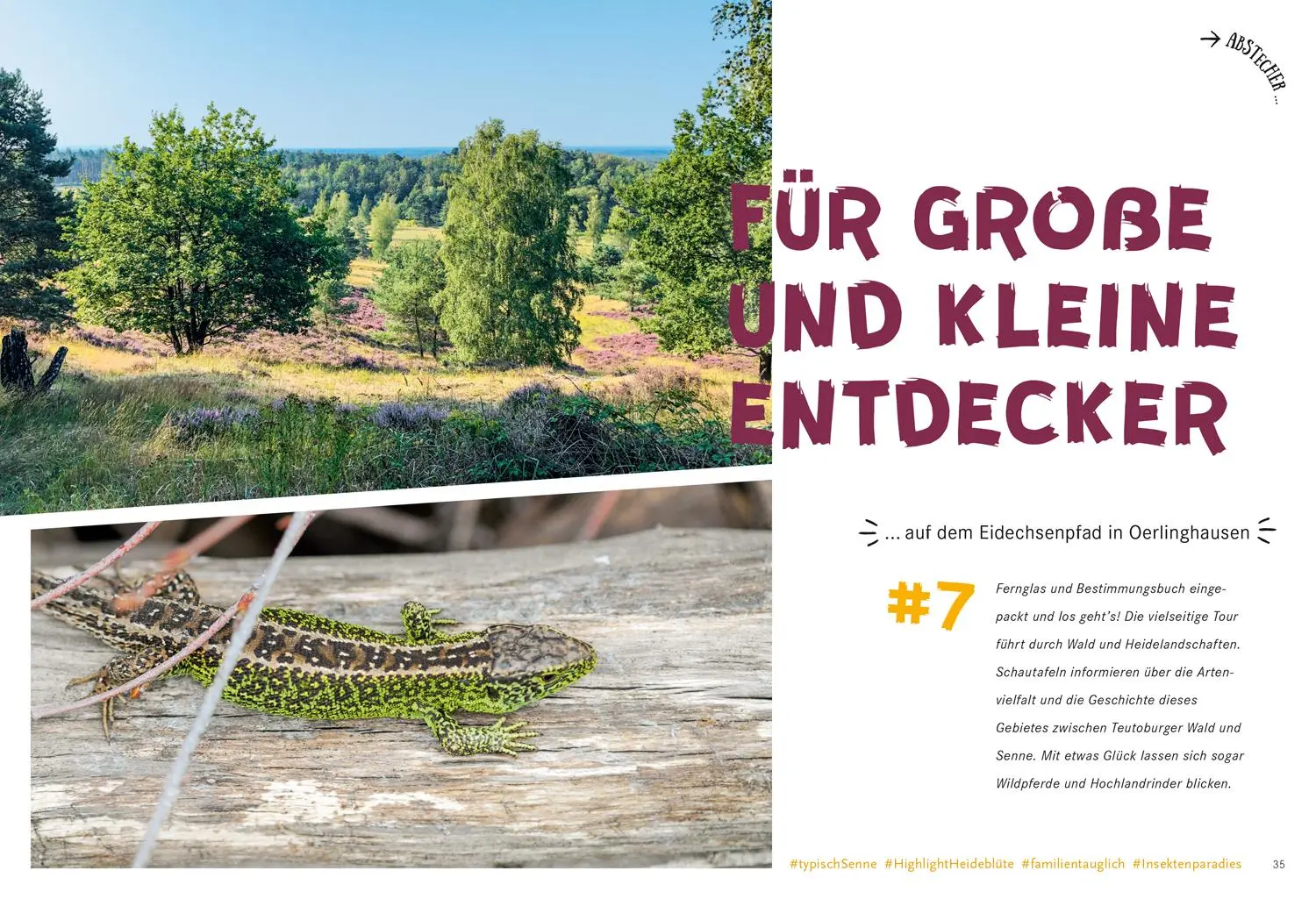 Bild: 9783616110172 | 52 kleine &amp; große Eskapaden in Ostwestfalen-Lippe | Ab nach draußen!
