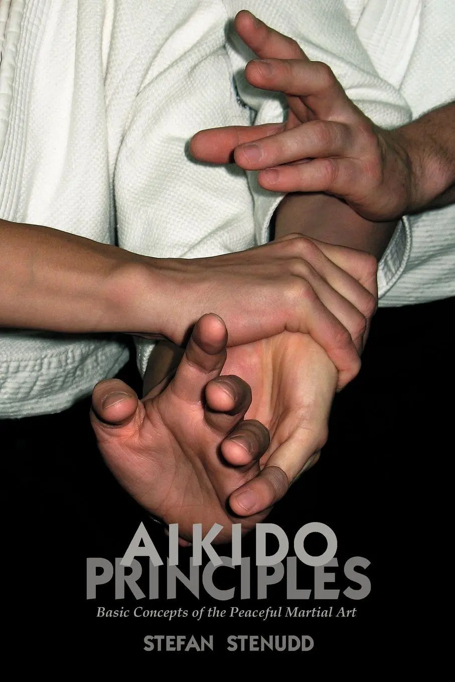 Cover: 9789178940172 | Aikido Principles | Basic Concepts of the Peaceful Martial Art | Buch
