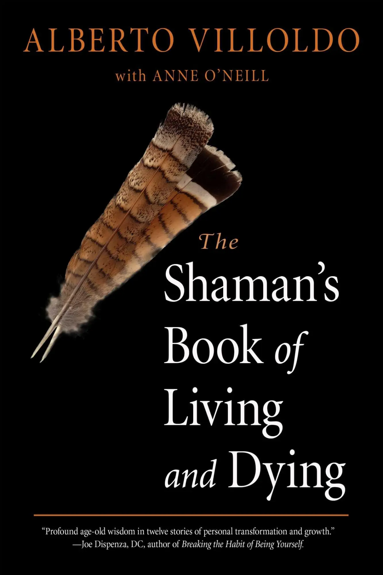 Cover: 9781642970272 | The Shaman's Book of Living and Dying | Alberto Villoldo (u. a.) Cover: 9781642970272 | The Shaman's Book of Living and Dying | Alberto Villoldo (u. a.)