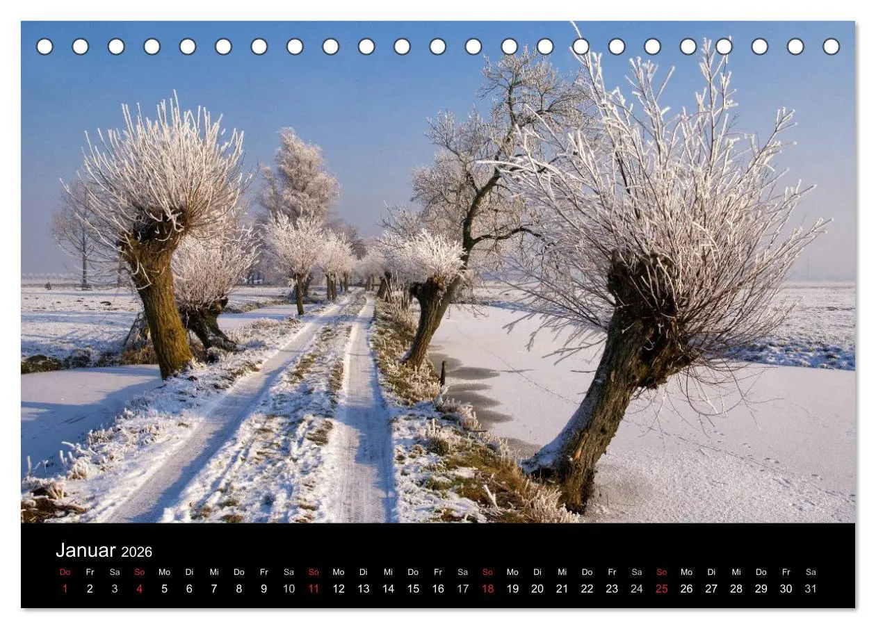 Bild: 9783516040272 | HOLLÄNDISCHE LANDSCHAFTEN: ALBLASSERWAARD 2026 (Tischkalender 2026...