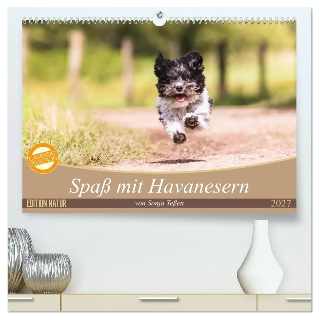 Cover: 9783569990272 | Spaß mit Havanesern (hochwertiger Premium Wandkalender 2027 DIN A2...