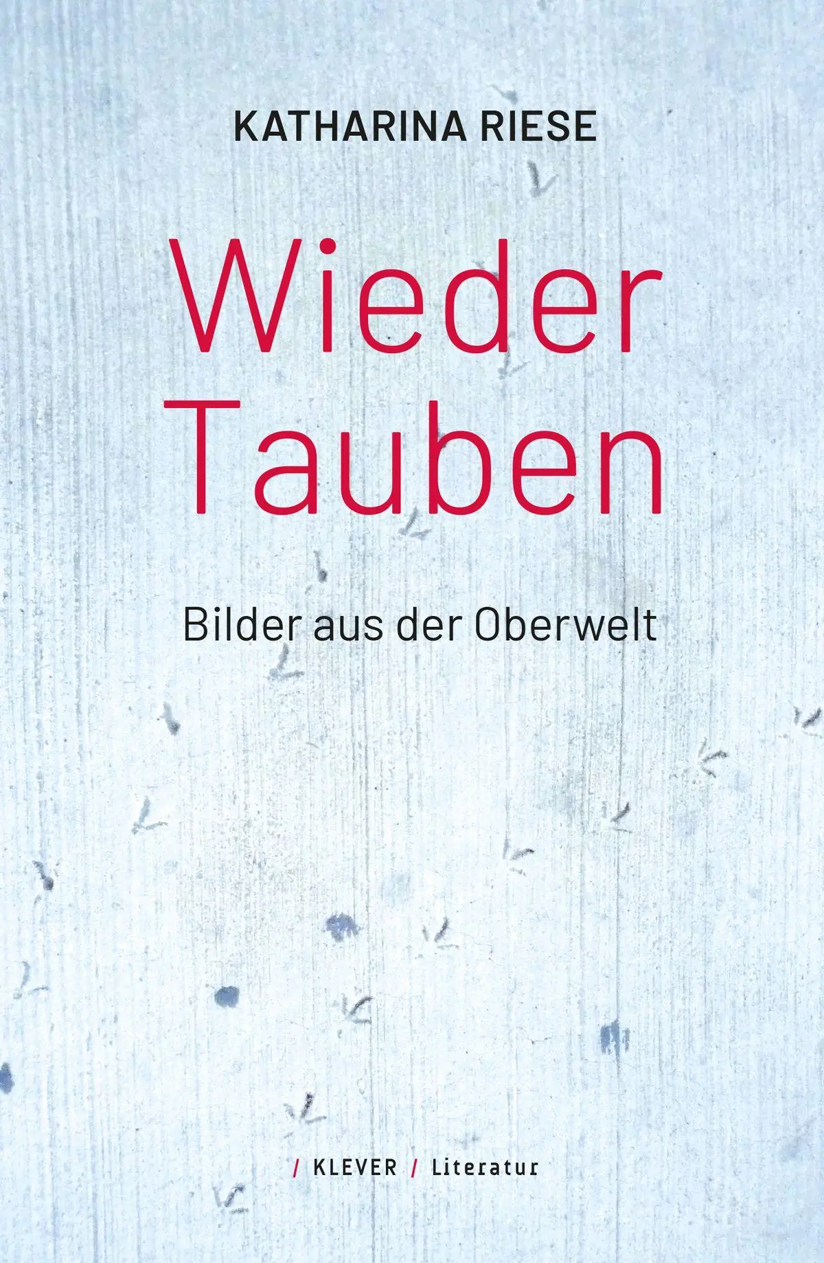 Cover: 9783991560272 | Wieder Tauben | Bilder aus der Oberwelt | Katharina Riese | Buch