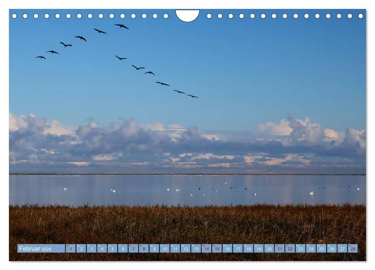 Bild: 9783457940372 | Stralsund und die Boddenlandschaft (Wandkalender 2026 DIN A4 quer),...