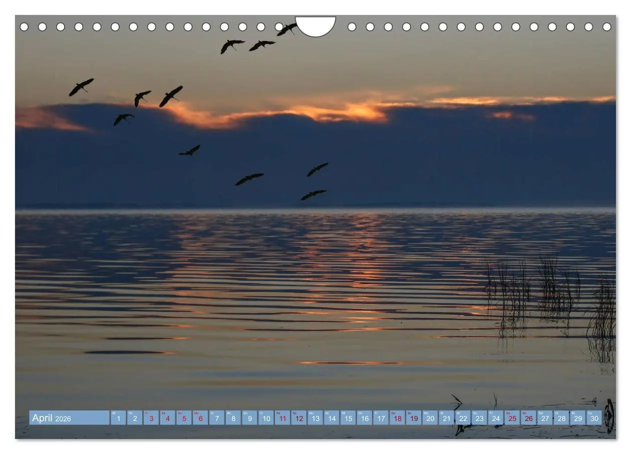 Bild: 9783457940372 | Stralsund und die Boddenlandschaft (Wandkalender 2026 DIN A4 quer),...